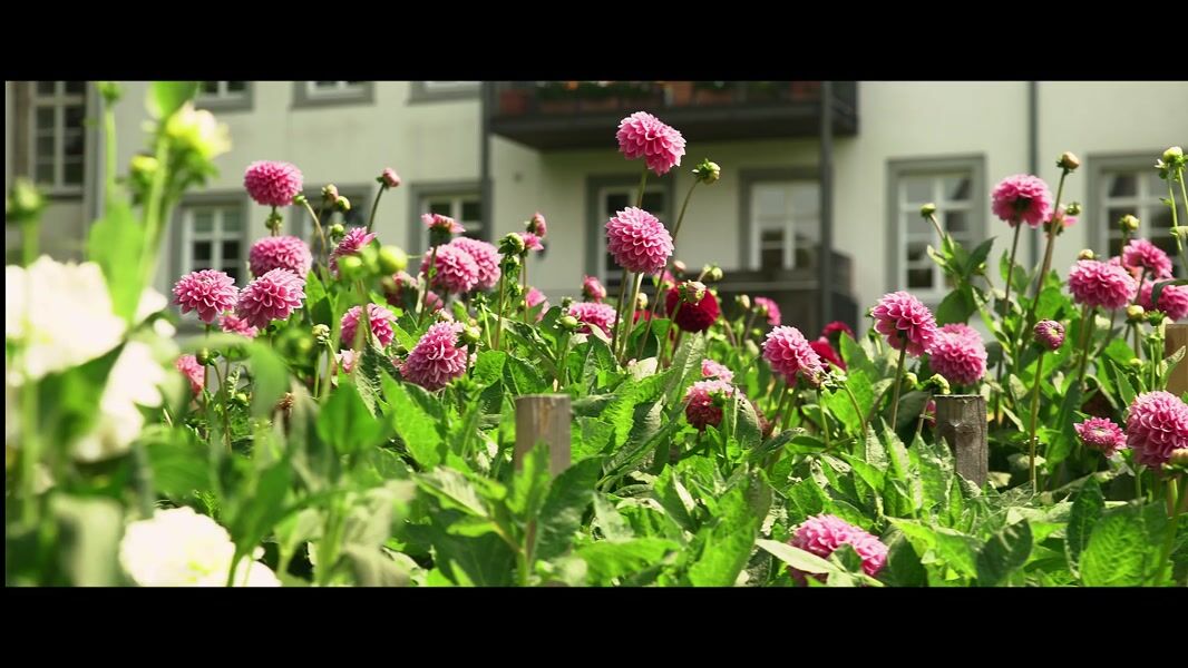 Fulda-Imagevilm_v2-4K.mp4